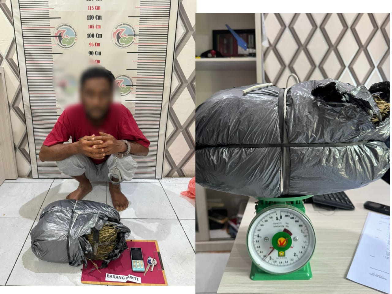 Polres Nagan Raya Tangkap Seorang Pengedar Ganja